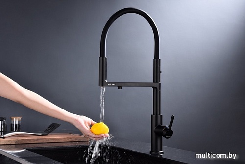 Смеситель Paulmark Tornado TO213402-401 (черный/антрацит)