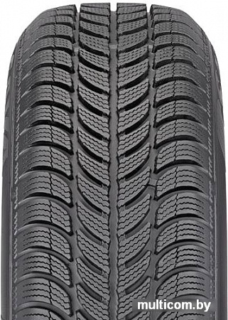 Автомобильные шины Sava Eskimo S3+ 165/65R15 81T