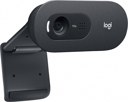 Logitech C505e