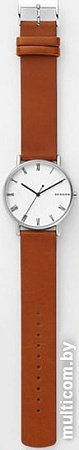 Наручные часы Skagen SKW6427
