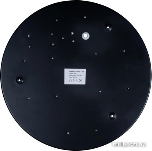 Люстра-тарелка LOFT IT Axel 10002/24 Black