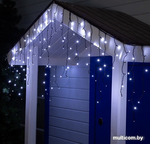 Бахрома Luazon 160 LED 3х0.6м (белый) 4356993