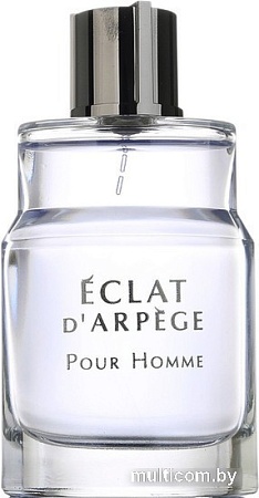 Туалетная вода Lanvin Eclat d'Arpege Pour Homme EdT (100 мл)
