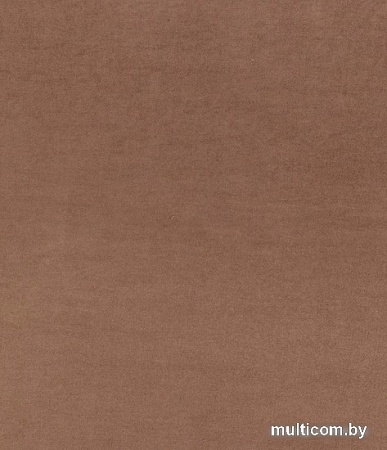 Штора Legrand Канвас 2x2.8 58118709 (орех)