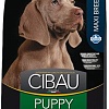 Корм для собак Cibau Puppy Maxi 12 кг