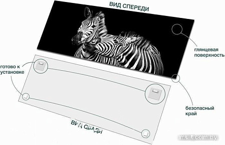 Картина на стекле Stamprint Две зебры AN013 (50x125)