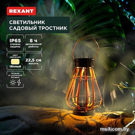 Садовый светильник Rexant Тростник 602-2409