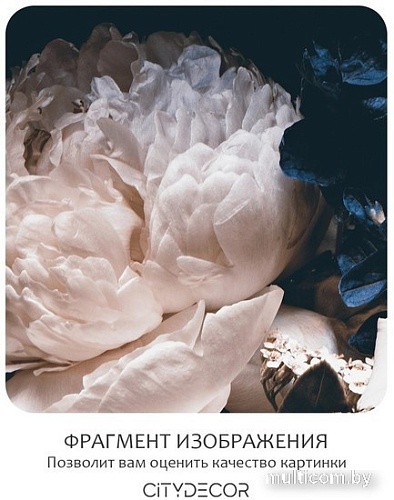 Фотообои Citydecor Цветы и Растения 3 300x260