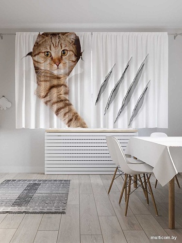 JoyArty Кот с царапиной p_31202 (145x180)