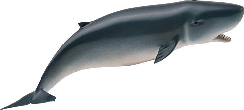 Collecta Карликовый кашалот 88653b