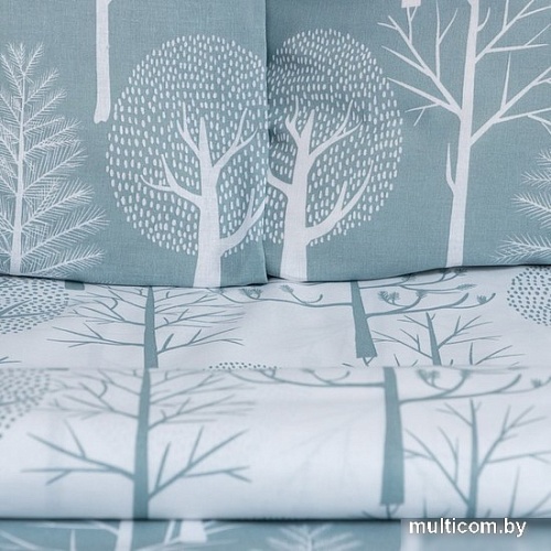 Постельное белье Этель Forest 7733871