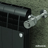 Биметаллический радиатор Royal Thermo BiLiner 500 Noir Sable (2 секции)