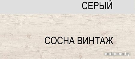 Шкаф напольный Anrex Alesia 1S/60-F1 (серый/сосна винтаж)