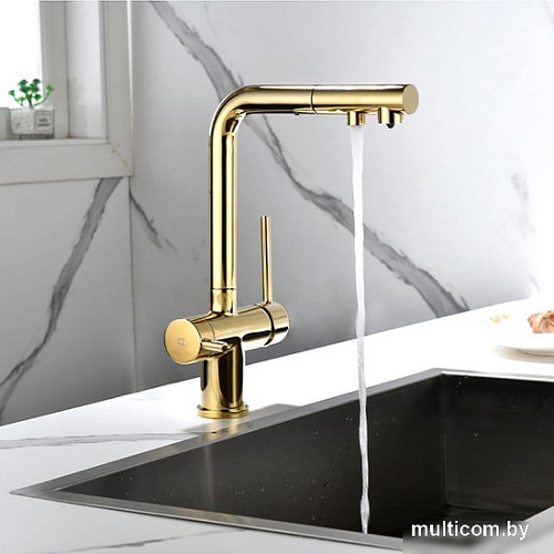 Смеситель Paulmark Serpentine SE213222-G (золото)