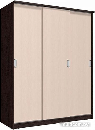 Шкаф-купе Интерлиния Неаполь АН-012-18-00 БФ (дуб молочный/дуб венге)