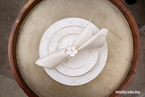 Кольцо для салфеток Arya Daisy 8680943222756