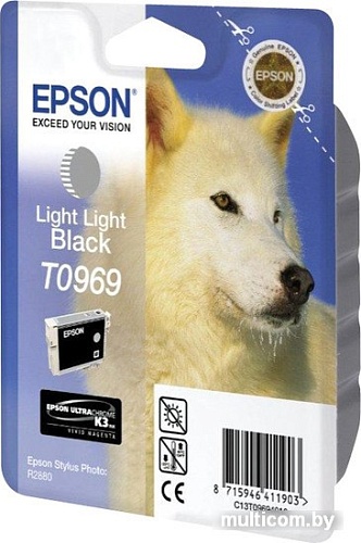Картридж Epson C13T09694010