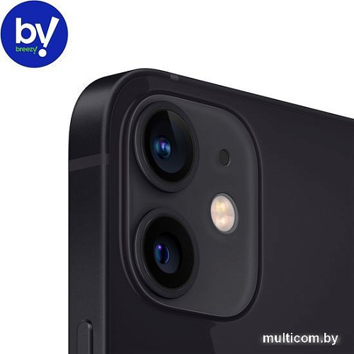 Смартфон Apple iPhone 12 mini 128GB Воcстановленный by Breezy, грейд C (черный)