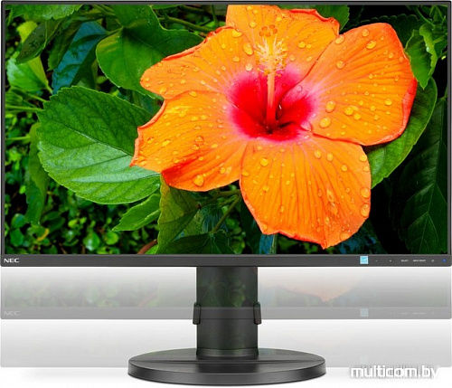 Монитор NEC MultiSync E271N-BK