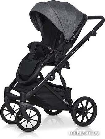 Универсальная коляска Riko Basic Delta (3 в 1, 05/carbon)
