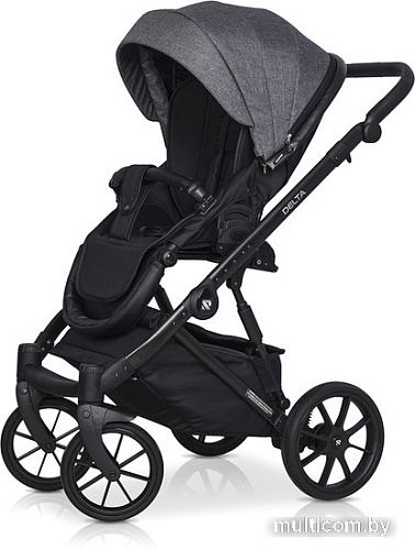 Универсальная коляска Riko Basic Delta (3 в 1, 05/carbon)