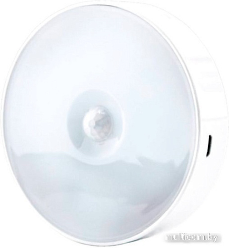 Светильник Glanzen RPD-0001-night