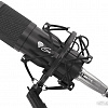 Микрофон Genesis Radium 300 XLR