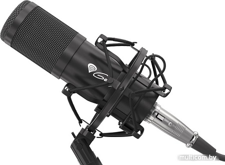 Микрофон Genesis Radium 300 XLR