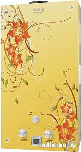 Водонагреватель Oasis Glass 24 BG