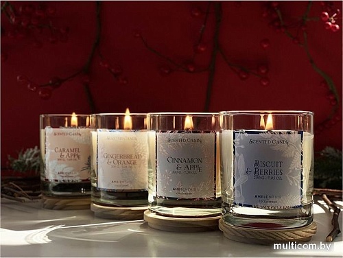 Ароматизированая свеча Ambientair Gifting. Корица и яблоко VV401MCTO