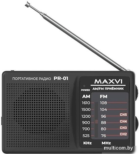 Радиоприемник Maxvi PR-01 (серый)