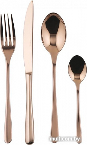 Набор столовых приборов Sambonet Taste 52553C81