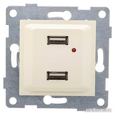 Розетка USB Gusi Electric Ugra С11USB2-003
