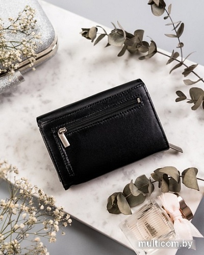 Кошелек Cedar Rovicky R-RD-38-GCL (черный)