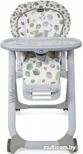 Стульчик для кормления Chicco Polly Progres5 (mirage)