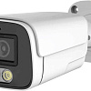 IP-камера Longse LS-IP204/60L-28