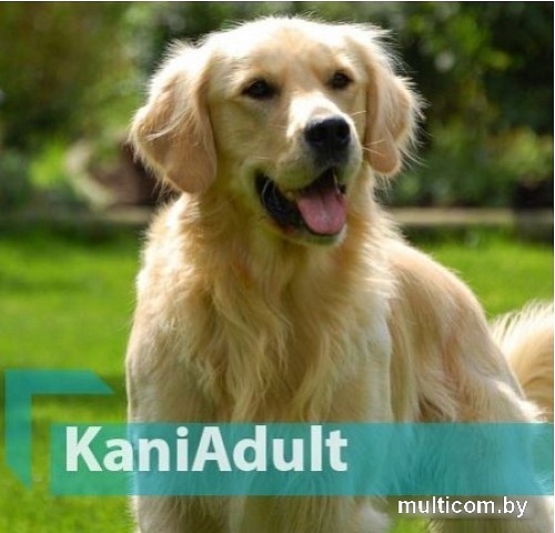 Сухой корм для собак Quicker Kani Adult Beef с говядиной 10 кг