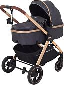 Универсальная коляска Rant Basic Roller Gold RA161 (2 в 1, grey)