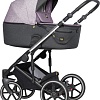 Универсальная коляска Expander Exeo (2 в 1, 02 purple)