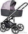 Универсальная коляска Expander Exeo (2 в 1, 02 purple)