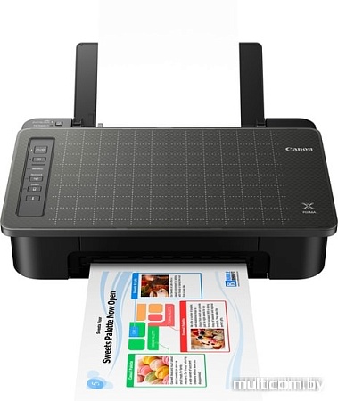 Принтер Canon PIXMA TS304
