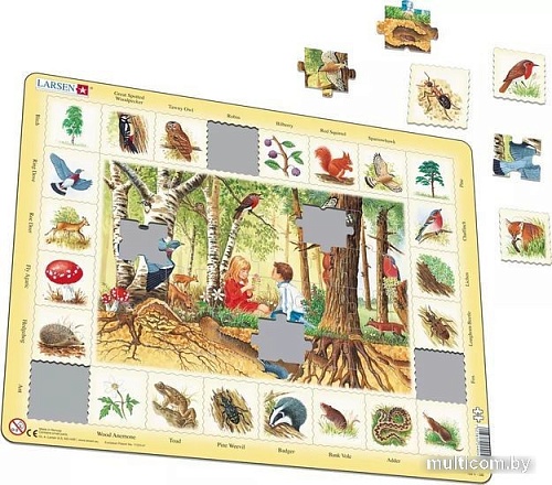 Мозаика/пазл Larsen Лес NA4 (русский)