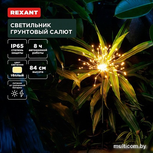 Садовый светильник Rexant Салют 602-2435
