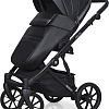 Универсальная коляска Riko Basic Delta Ecco (2 в 1, 15/black)