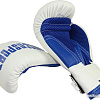 Тренировочные перчатки Rusco Sport 10 oz (белый/синий)