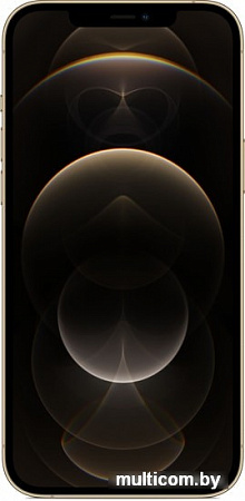 Смартфон Apple iPhone 12 Pro Max 256GB (золотой)