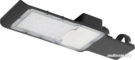 Уличный накладной светильник ЭРА SPP-503-0-50K-050