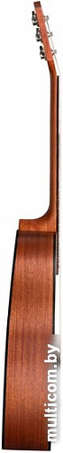Акустическая гитара Baton Rouge AR11C/D