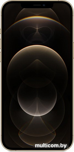 Смартфон Apple iPhone 12 Pro Max 256GB (золотой)