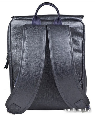 Городской рюкзак Carlo Gattini Premium Santerno 3007-55 (железно-серый)